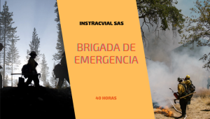 Brigada de Emergencia
