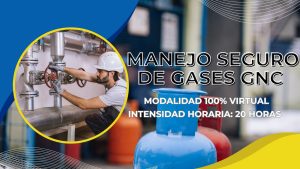 Manejo Seguro de Gases GNC