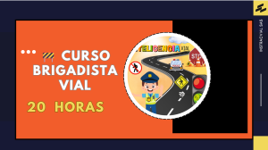 CURSO BRIGADISTA VIAL